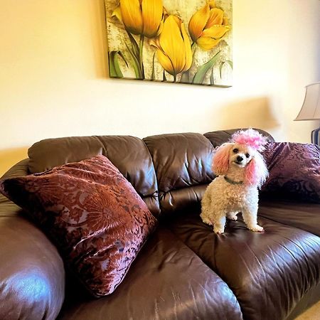 בנאלמדנה Beautiful Apartment With Pools, Playground And Paddle Tennis - Family Friendly And Near Vithas Hospital - Free Parking In Garage מראה חיצוני תמונה