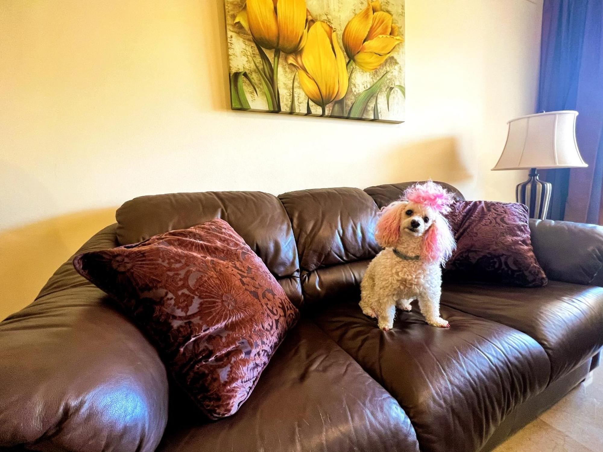 בנאלמדנה Beautiful Apartment With Pools, Playground And Paddle Tennis - Family Friendly And Near Vithas Hospital - Free Parking In Garage מראה חיצוני תמונה